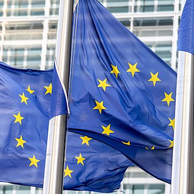 Oletko ehdolla europarlamenttivaaleissa?