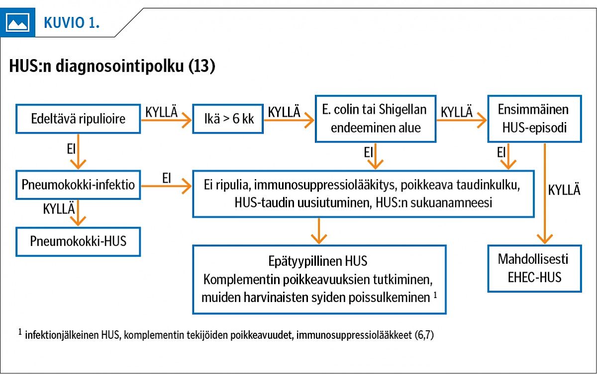 HUS:n diagnosointipolku (13)