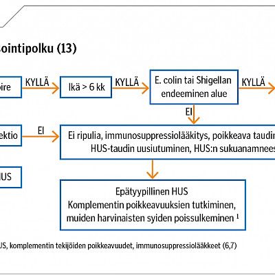 EHEC-infektiot ja lasten hemolyyttis-ureeminen oireyhtymä OYS:ssa 1995–2016