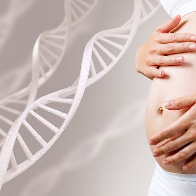Kiinalaistutkija suunnitteli bisnestä vauvojen geenimuuntelusta