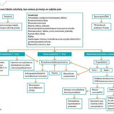 Kuukautiskierron häiriöt on syytä selvittää