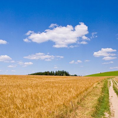 Alueelliset erot terveyspalvelujen kysynnässä ja tarjonnassa suuria