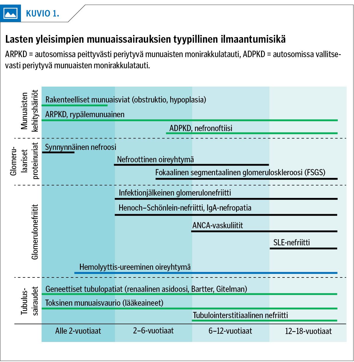 Lasten yleisimpien munuaissairauksien tyypillinen ilmaantumisikä