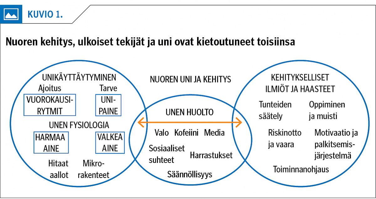 Nuoren kehitys, ulkoiset tekijät ja uni ovat kietoutuneet toisiinsa