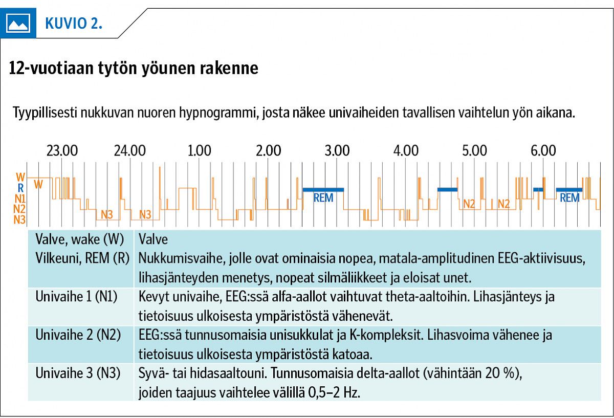 12-vuotiaan tytön yöunen rakenne