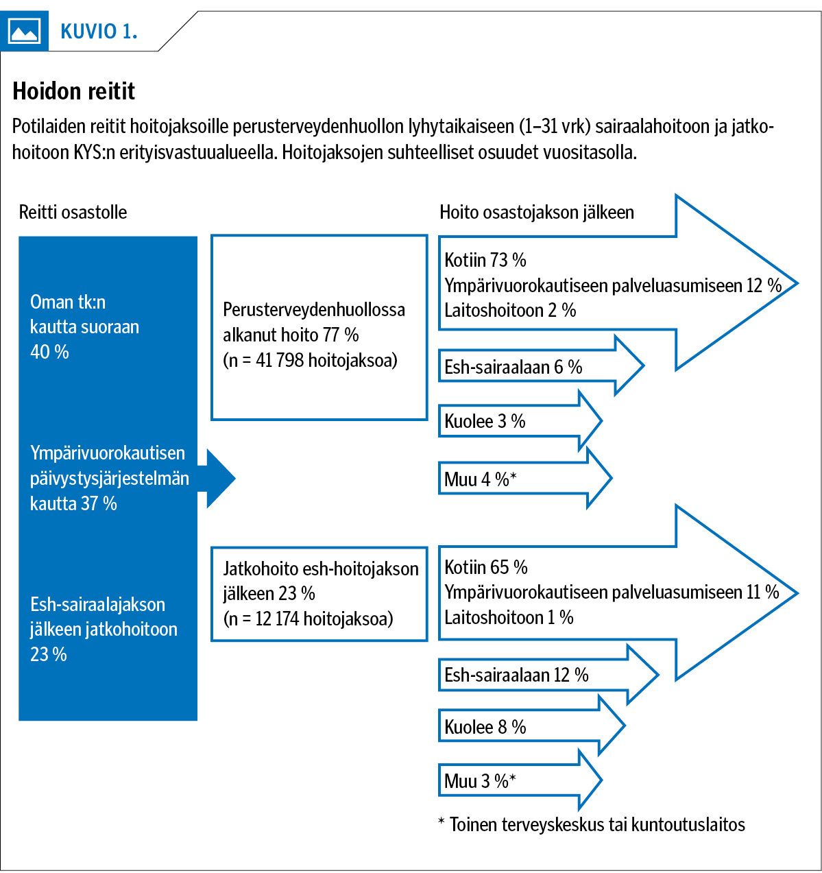 Hoidon reitit