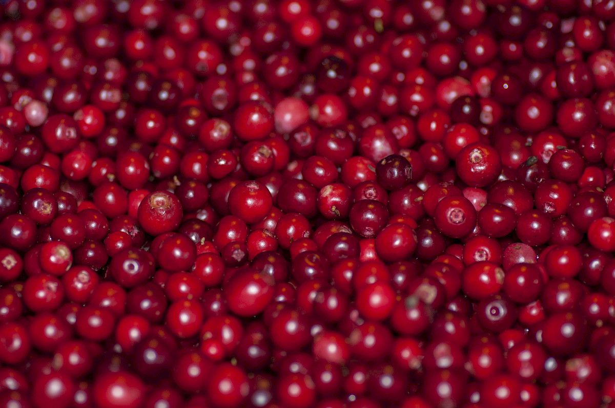 Kuvituskuva 1