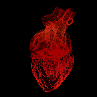 Uusi sydämen vajaatoiminnalle altistava geenivirhe löytyi