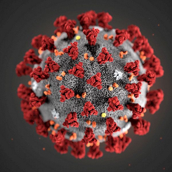 Koronavirusinfektion kliininen kuva ja löydökset