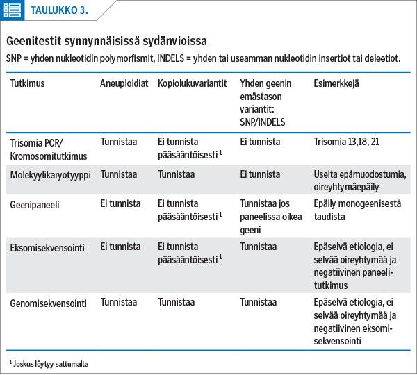 Kuvituskuva 3