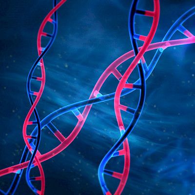 Genetics in congenital heart defects