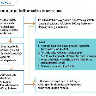 Resistentit tippurikannat ovat haaste hoidolle