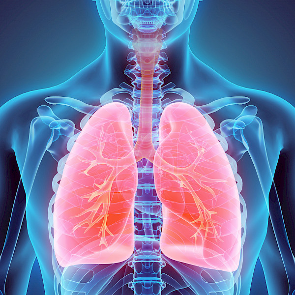 Jos keuhkot ovat romahtamassa, AOX-entsyymi voi tulla avuksi