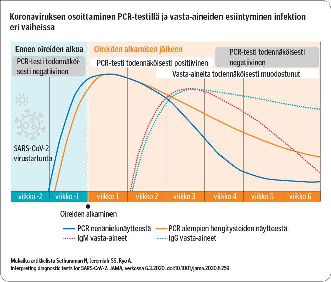 Koronaviruksen osoittaminen PCR-testillä ja vasta-aineiden esiintyminen infektion eri vaiheissa