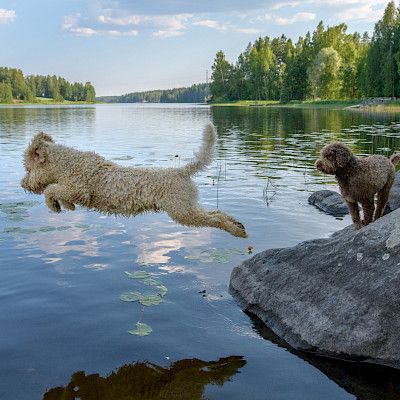Hyvää kesää