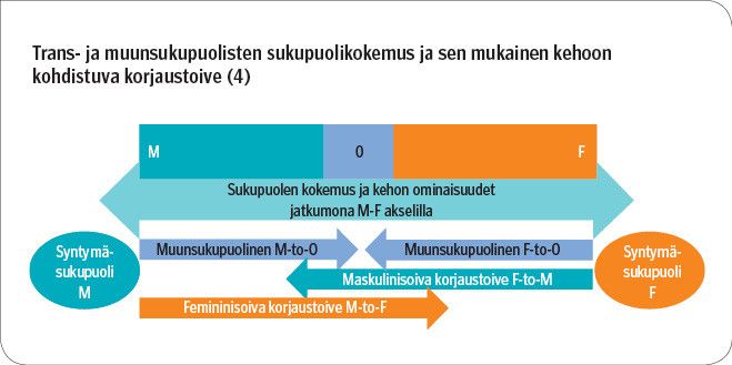 Trans- ja muunsukupuolisten sukupuolikokemus ja sen mukainen kehoon kohdistuva korjaustoive (4)