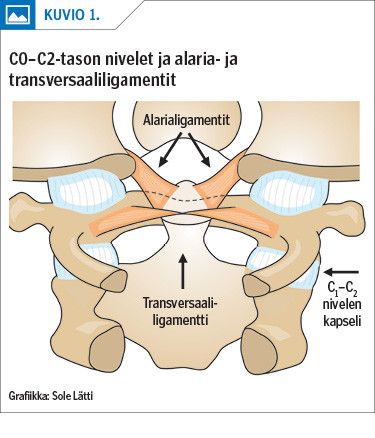 C0–C2-tason nivelet ja alaria- ja transversaaliligamentit