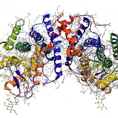 Tekoäly selvitti proteiinin kolmiulotteisen muodon