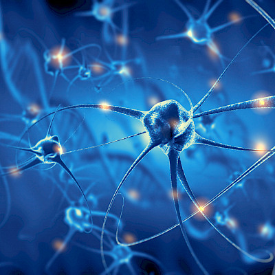 Tutkijat löysivät aivoista uuden hermosolujen välisen kommunikaatiotavan