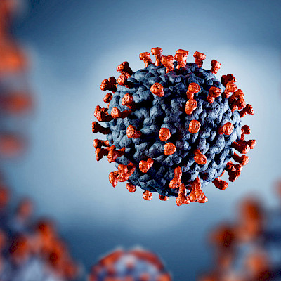 Uutta koronavirusmuunnosta löydetty Helsingissä yli 20 ihmiseltä