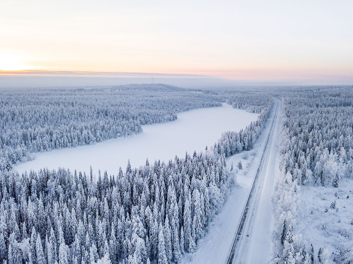Kansikuva