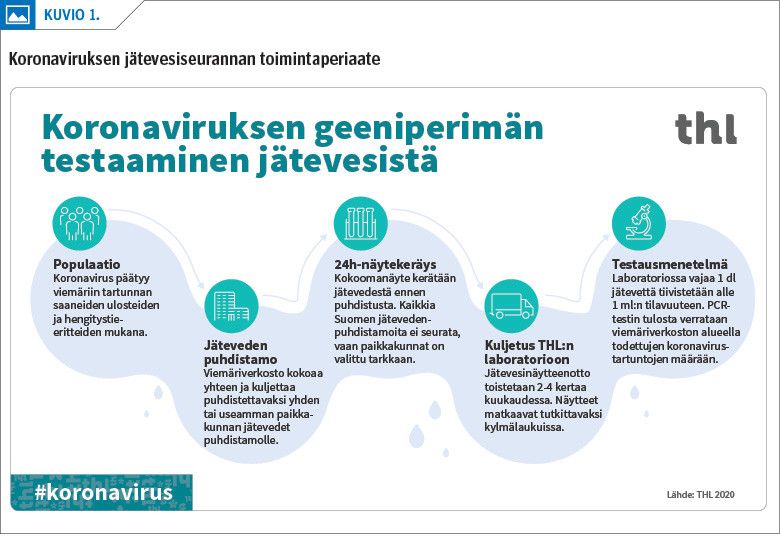 Koronaviruksen jätevesiseurannan toimintaperiaate
