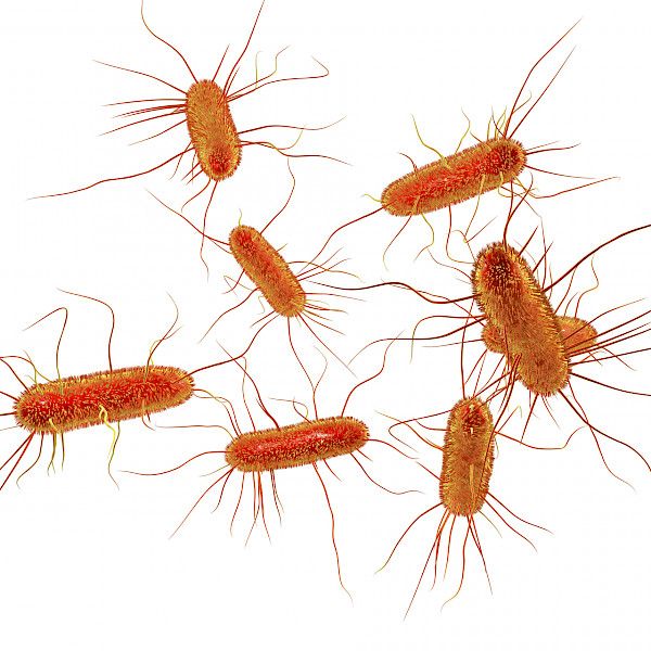 Bakteerien mikrobilääkeherkkyyden tuloksen tulkinta muuttuu