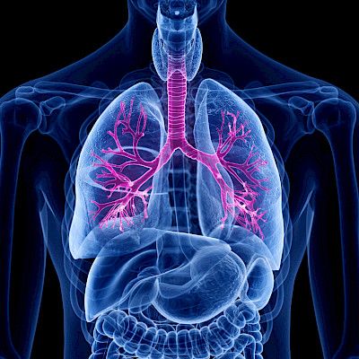 Astman ja keuhkoahtaumataudin sekamuoto ACO – diagnostiikka ja hoito