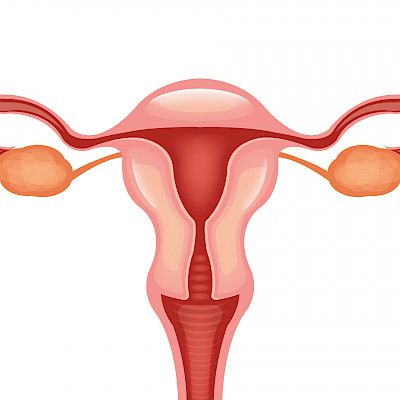 Surgical treatment of advanced ovarian cancer