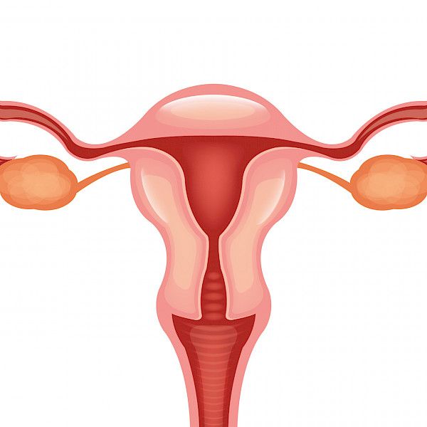 Surgical treatment of advanced ovarian cancer