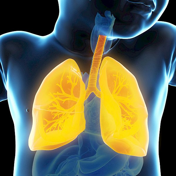Advances in drug therapy for cystic fibrosis