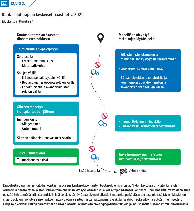 Kantasoluterapian keskeiset haasteet v. 2021
Muokattu viitteestä 27.