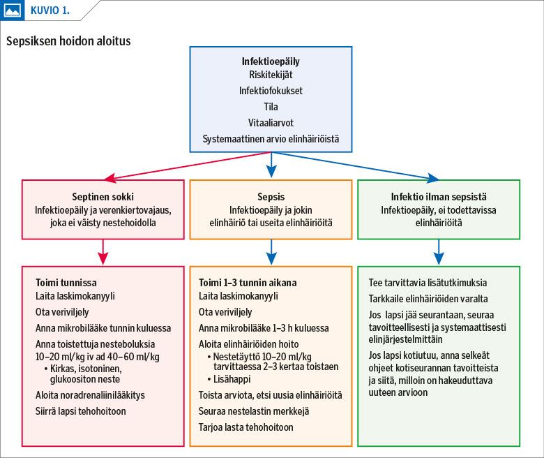 Sepsiksen hoidon aloitus