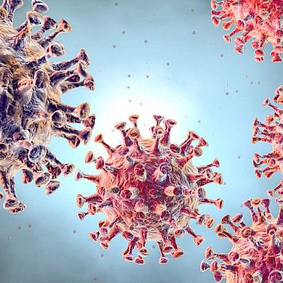 Sopivassa koronapotilaassa virus muuntuu