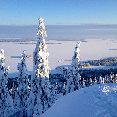 Mistä johtuu Itä-Suomen lääkärivaje?