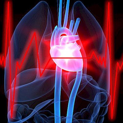 Sydämen diastolisen vajaatoiminnan hoito uudistuu