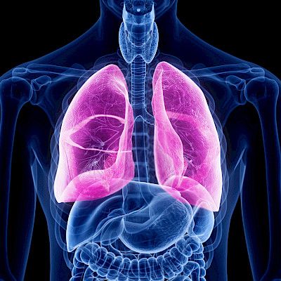 Keuhkofibroosin lääkehoito laajenee