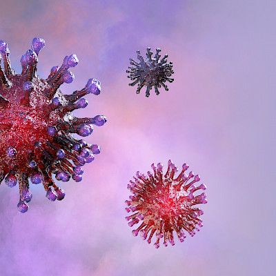 Koronaviruslääke Paxlovid otetaan käyttöön Husissa