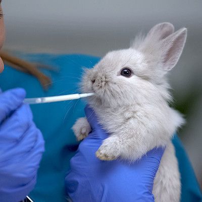 EU ottaa ison askeleen torjuakseen mikrobilääkkeiden resistenssiä