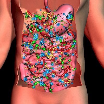 The role of the microbiota-gut-brain axis in Parkinson's disease