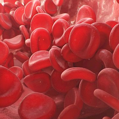Tutkimus avaa ovia kohti parantavaa hoitoa verisyövässä