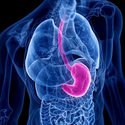 Prevention of oesophageal and gastric cancer