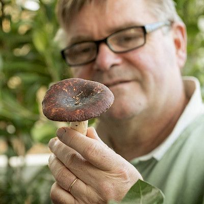 Sienitutkimus muistuttaa lääketiedettä