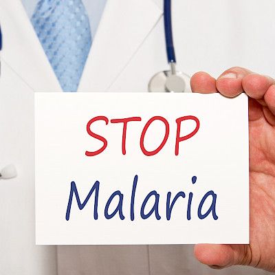 Uudesta vasta-aineesta hyvä suoja malariaa vastaan