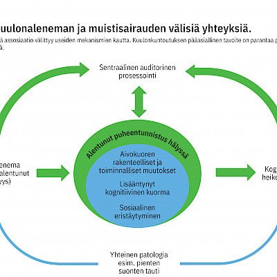 Kuulonalenema: sisäkorvaan rajoittuva ongelma vai laajempi neurodegeneratiivinen kokonaisuus?