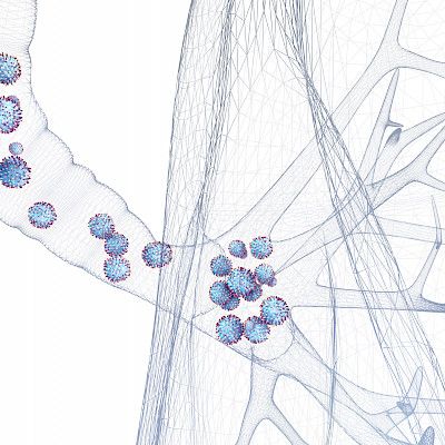 Influenssavirus ja RSV voivat risteytyä