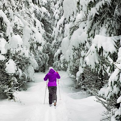 Liikkumattomuus johtuu myös lihavuudesta