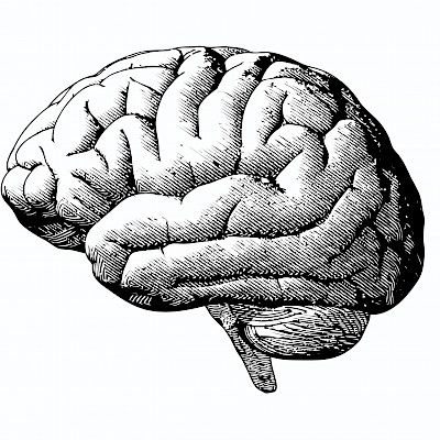 Aivokuoleman käsite – historiaa ja kritiikkiä