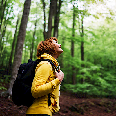 Health benefits of nature