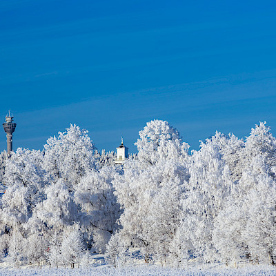 Pohjoissavolainen: Vaihda lomarahat vapaiksi